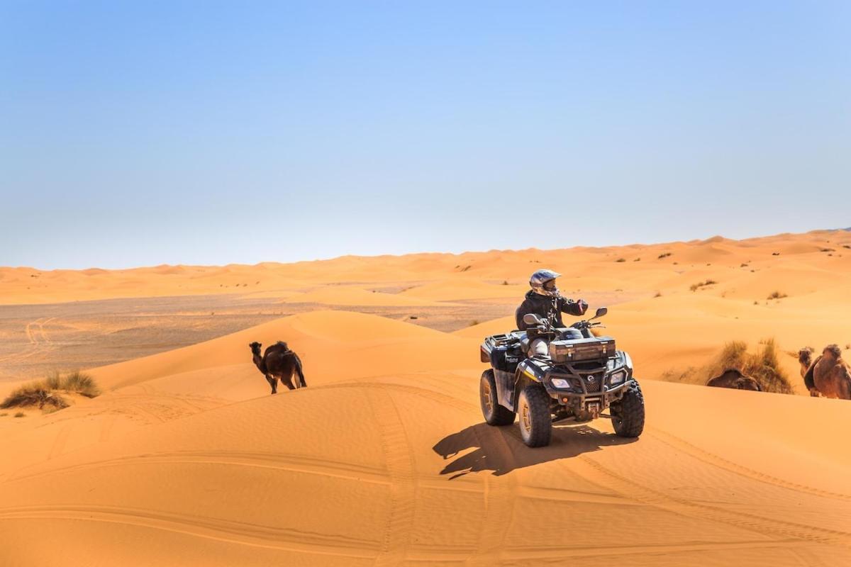 Camp Sahara Dunes Hotell M'Hamid Exteriör bild