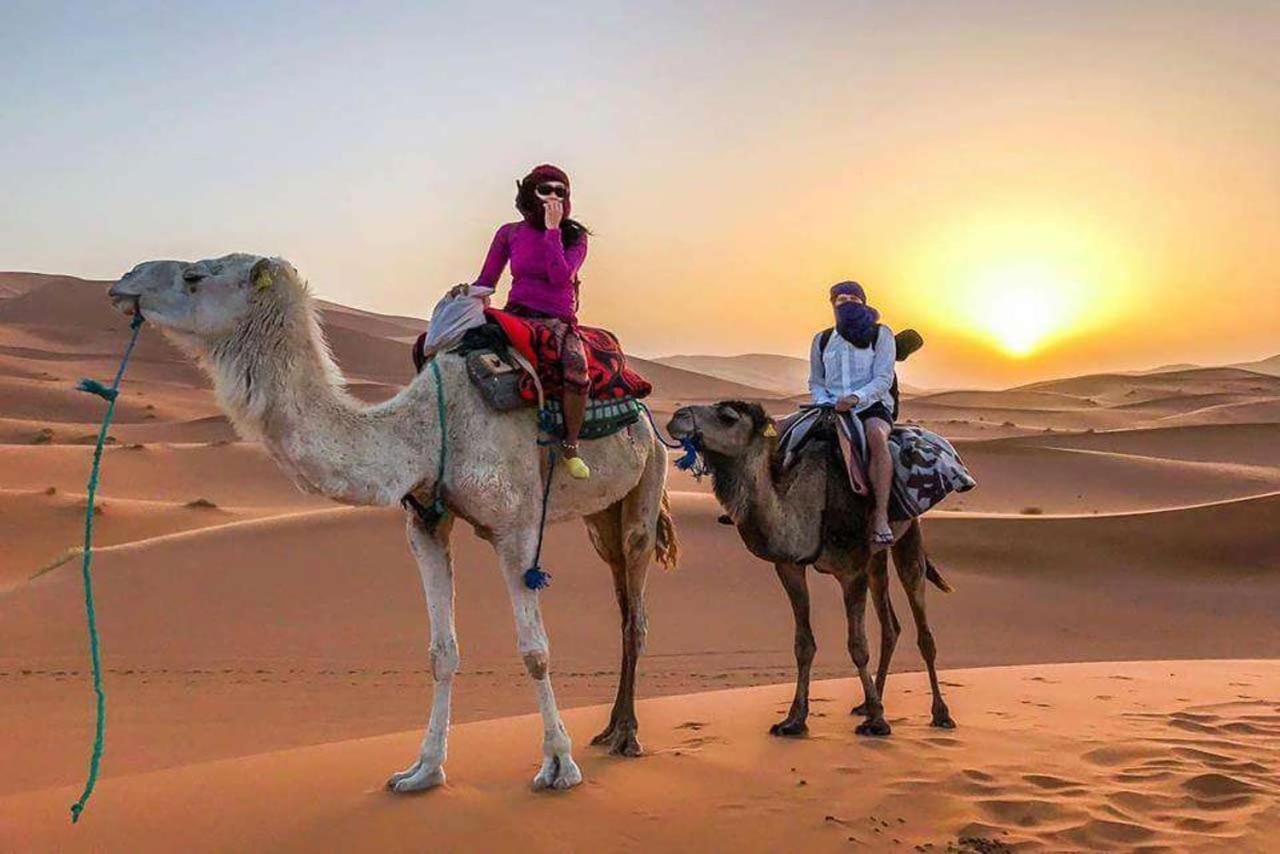 Camp Sahara Dunes Hotell M'Hamid Exteriör bild