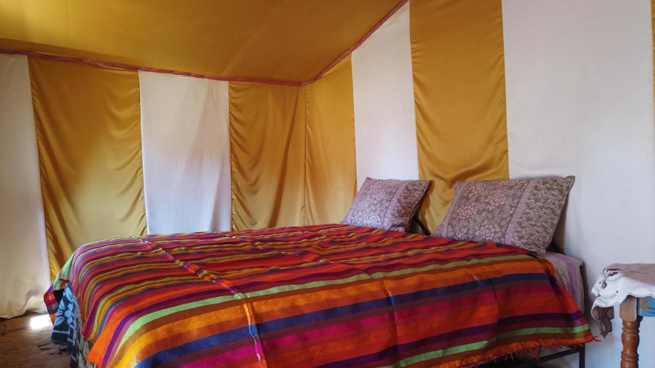 Camp Sahara Dunes Hotell M'Hamid Exteriör bild
